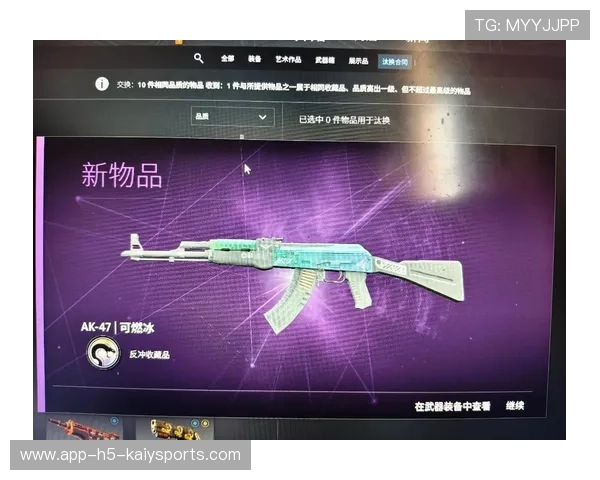 CS2饰品稀有度查询工具：你的库存到底价值多少钱？